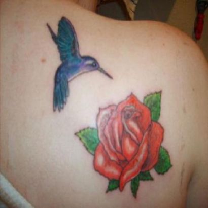 Hummingbird And Red Rose Pic Tattoo On Right Shoulder Blade